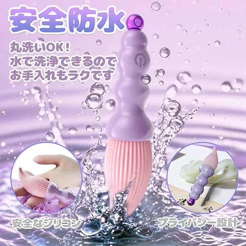 説明