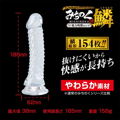 説明