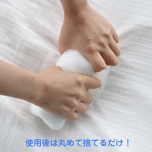 説明