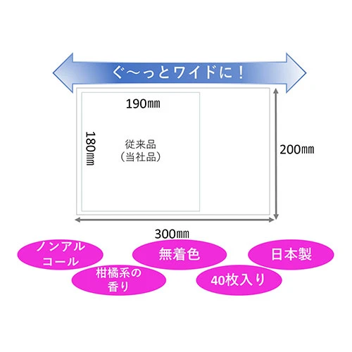 ハビナース　トイレに流せるおしりふき　大判厚手　４０枚入