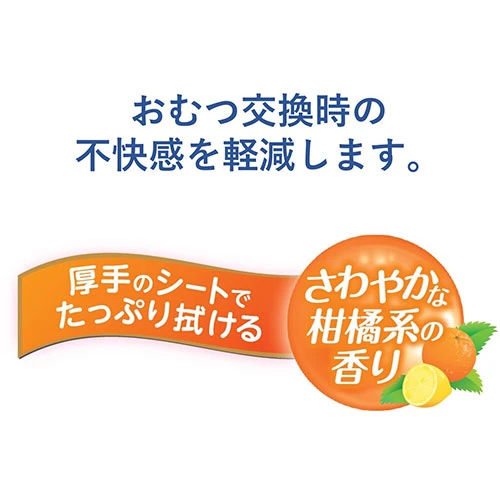 ハビナース　トイレに流せるおしりふき　大判厚手　４０枚入
