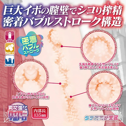 説明
