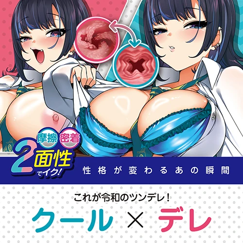 説明