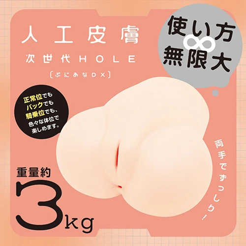説明