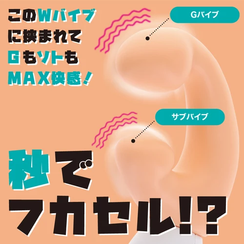 説明