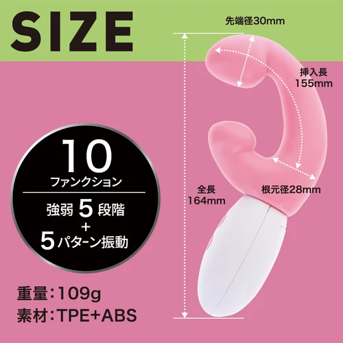 説明