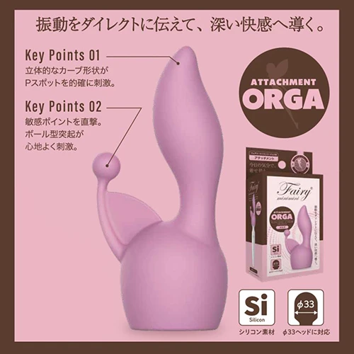 説明