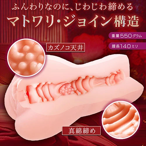 秘めごと淫モラル（NTWA-051）