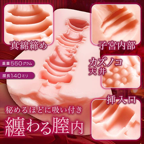 秘めごと淫モラル（NTWA-051）
