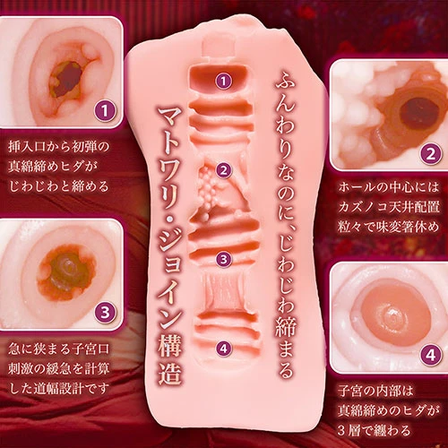 秘めごと淫モラル（NTWA-051）