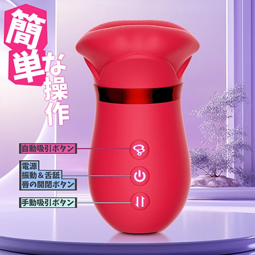 説明