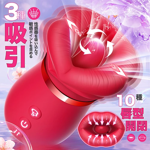 説明