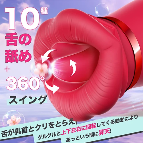 説明