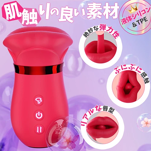 説明