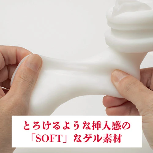 説明