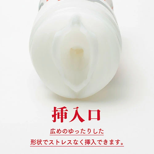 説明
