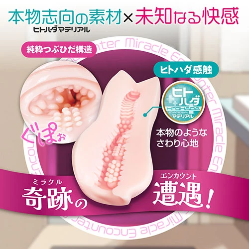 説明