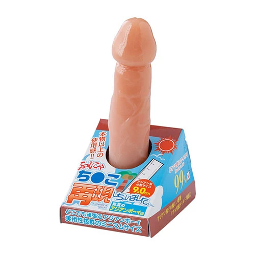 説明