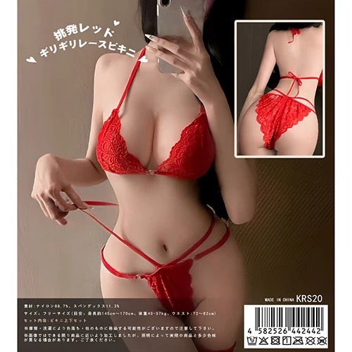 説明