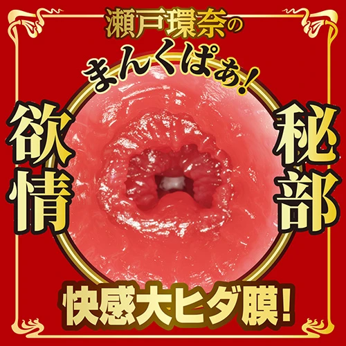 名器の証明 16 特別版 瀬戸環奈