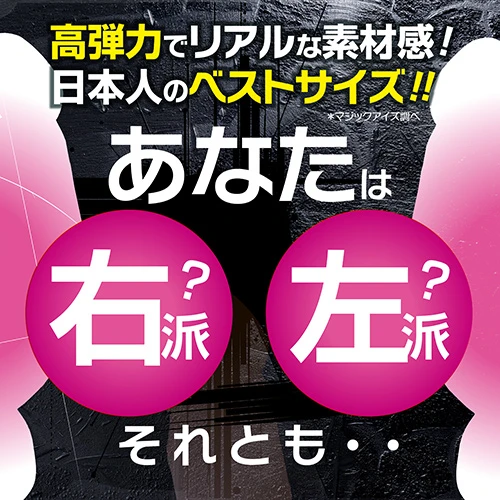 説明