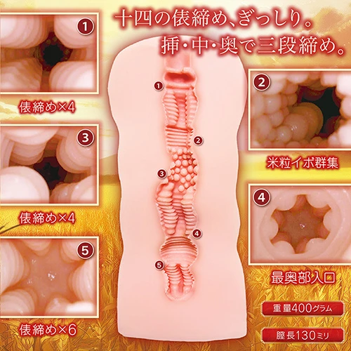 説明