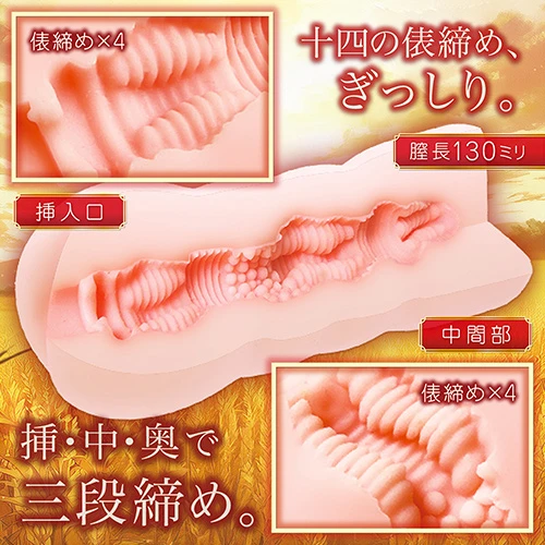 説明