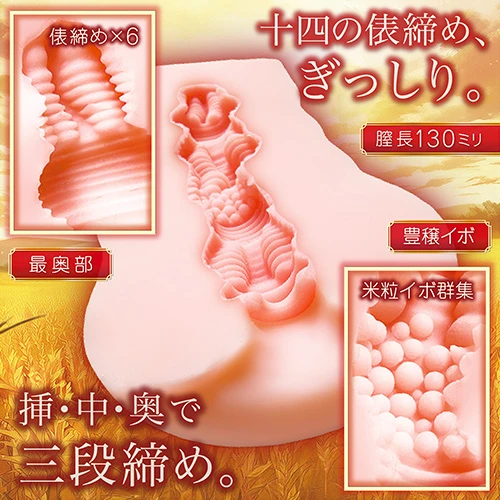 説明