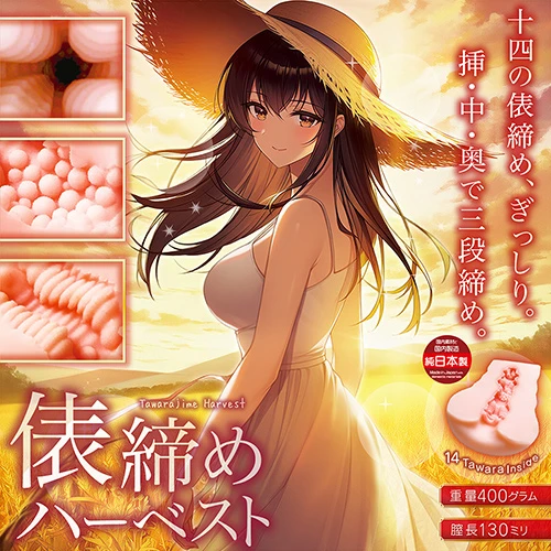 説明