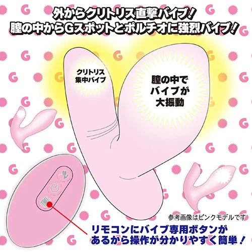 説明