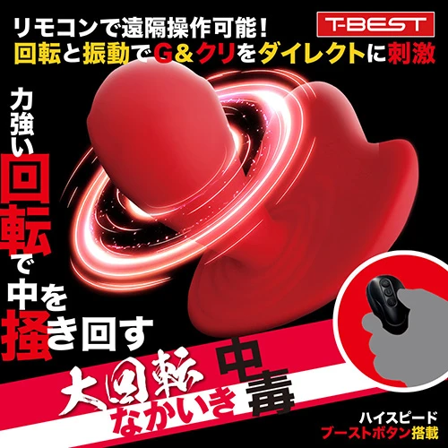 説明