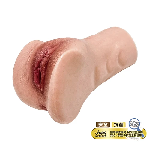 説明