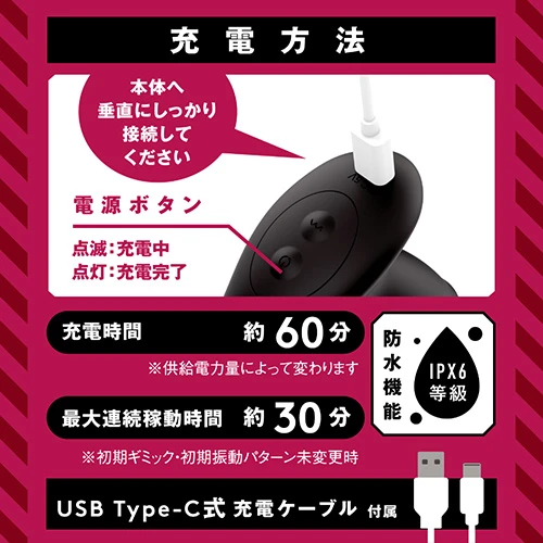 説明