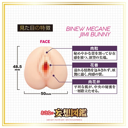 説明
