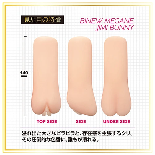 説明