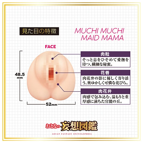 説明