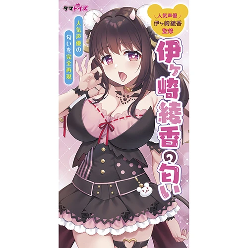説明
