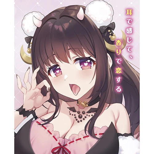 説明