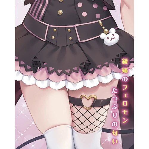 説明