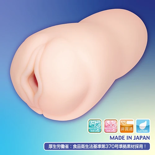 説明