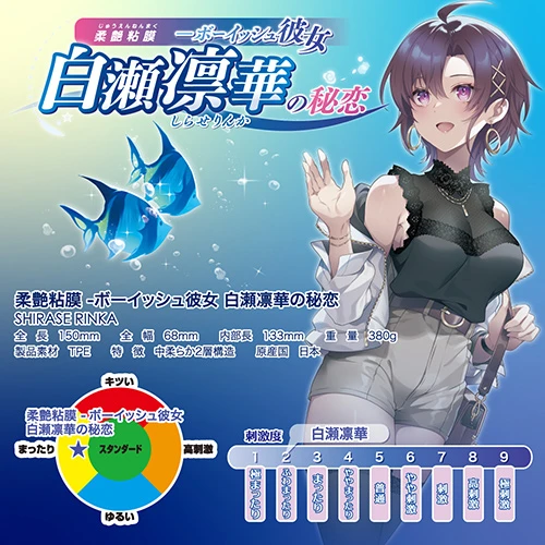 説明