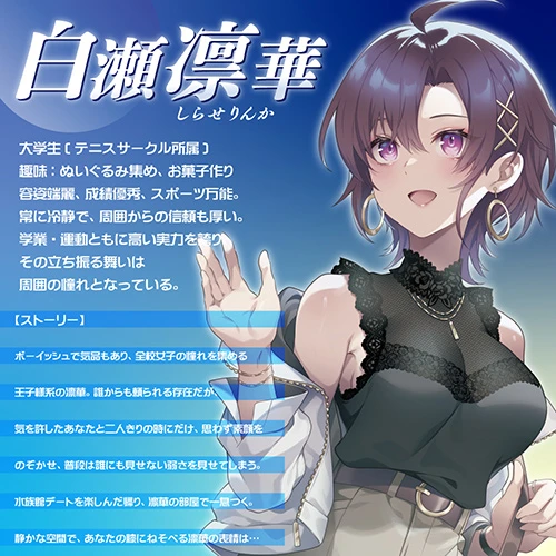 説明