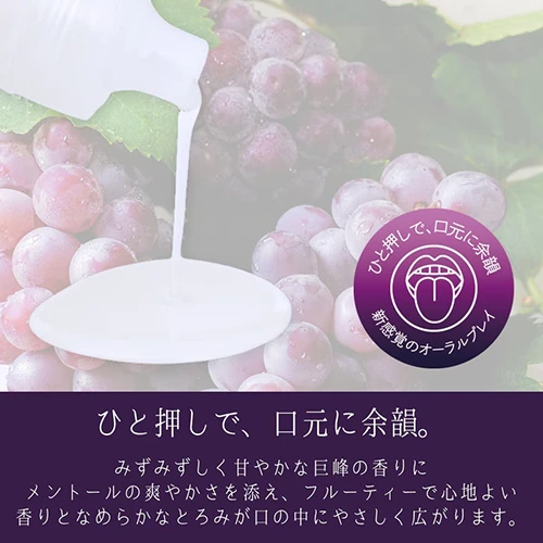 説明