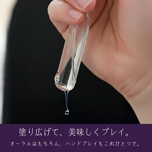 説明