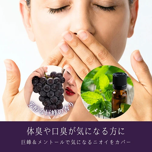 説明