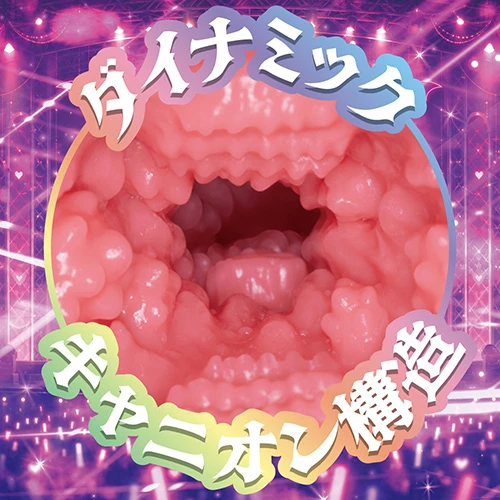 説明