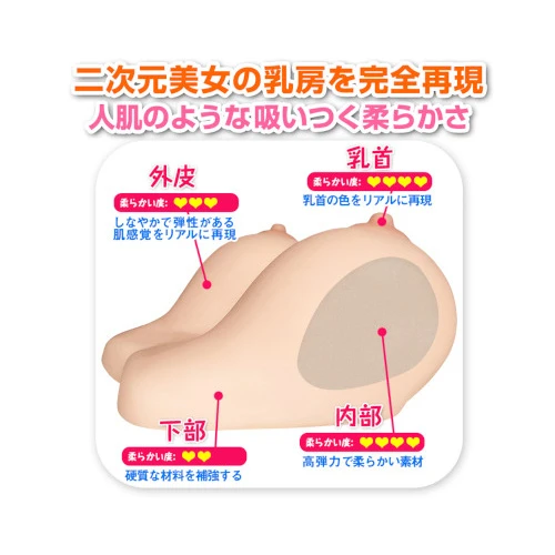 豊乳【釣鐘型】