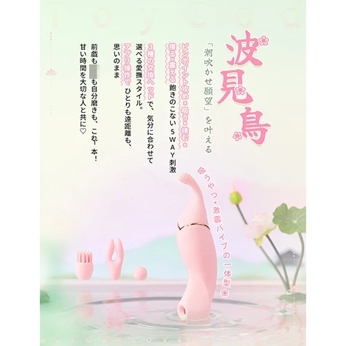 説明