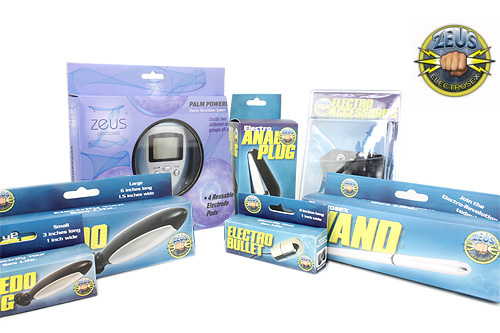 (ZEUS PALM POWERBOX) ゼウス パーム コントローラー