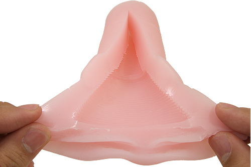 ボクのおなぺっと